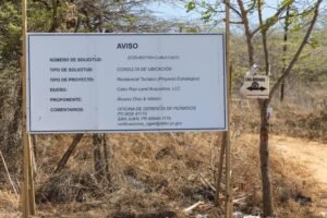 proyecto Esencia Cabo Rojo