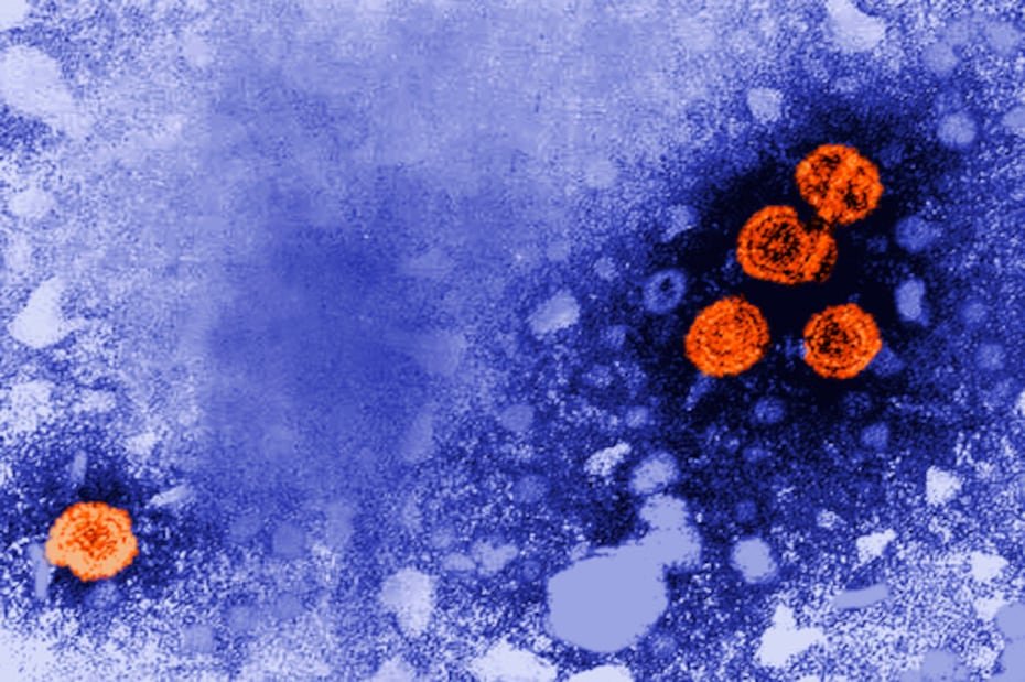 Tres dosis de la vacuna contra la hepatitis B.
