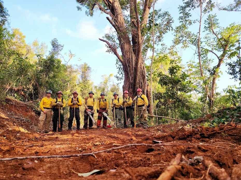 El Negociado cuenta con 2,034 bomberos en su matrícula. De ese total, 54 son bomberos forestales distribuidos en seis brigadas ubicadas en Juncos, Ponce, Guánica, Lajas, Cabo Rojo y Camuy.