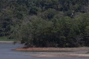racionamiento de agua Carraízo