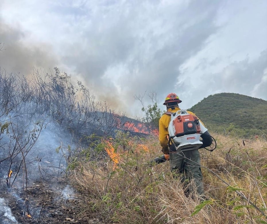 El incremento ocurre en momentos en que sectores de la isla registran condiciones atípicamente secas, con áreas bajo sequía moderada y severa, particularmente en zonas del sur, una de las regiones donde históricamente se reportan más incendios forestales.
