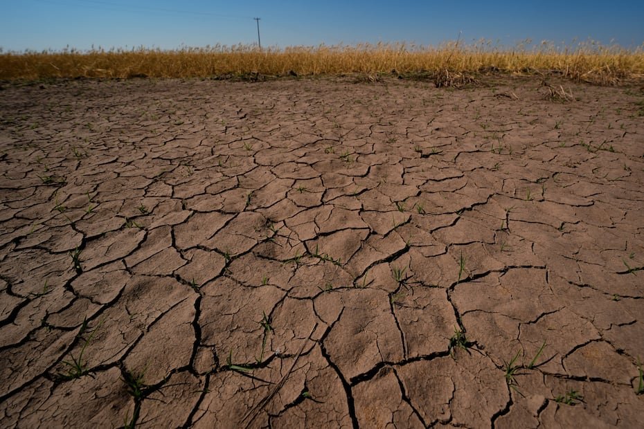 La oficina meteorológica declara la formación de El Niño cuando las temperaturas en el Pacífico ecuatorial están 0.5 grados centígrados por encima del promedio por "varios meses consecutivos".