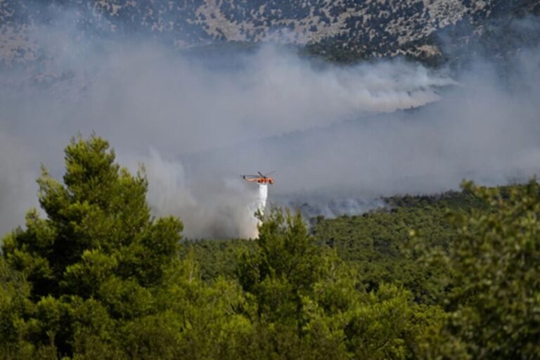 helicópteros incendio forestal