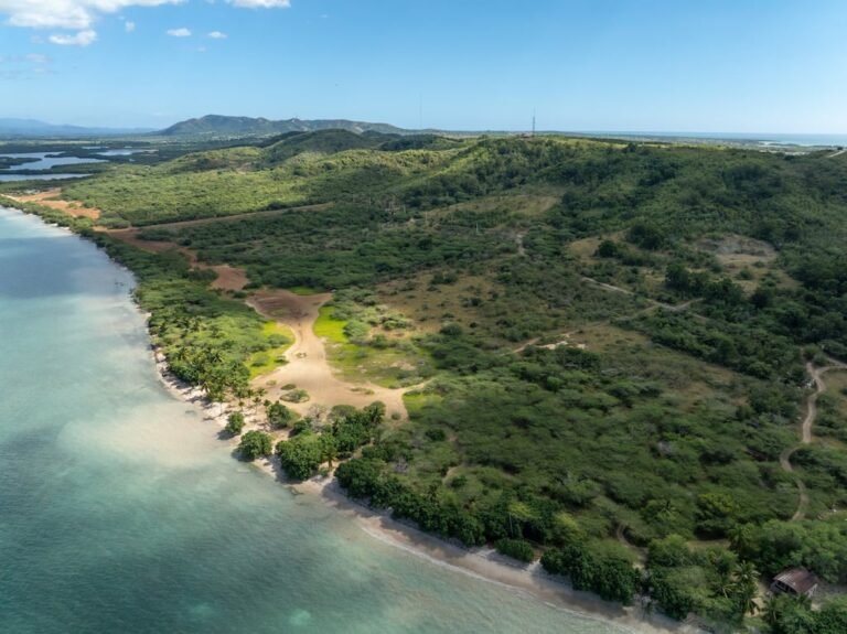 proyecto Esencia Cabo Rojo